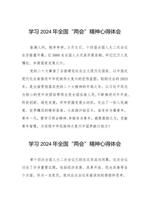 学习2024年“两会”精神心得体会样本30篇.docx