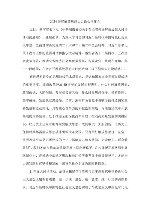 2024开展解放思想大讨论心得体会.docx