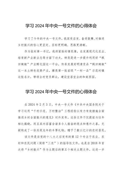 驻村书记2024年中央一号文件学习心得体会十四篇.docx