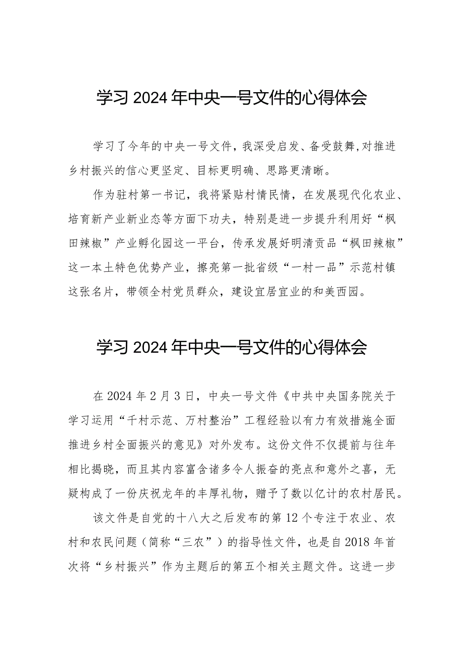驻村书记2024年中央一号文件学习心得体会十四篇.docx_第1页