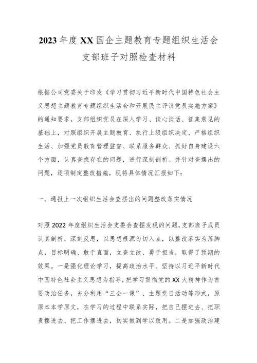 2023XX国企主题教育专题组织生活会支部班子对照检查材料.docx