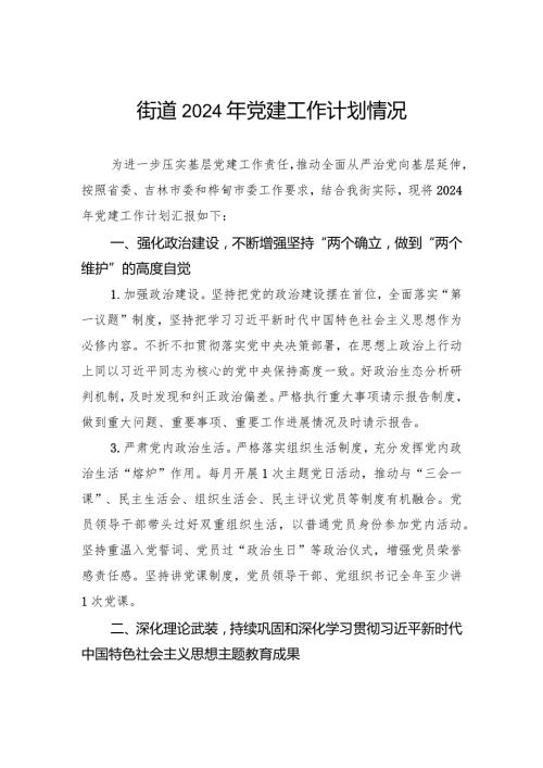 街道2024年党建工作计划情况.docx
