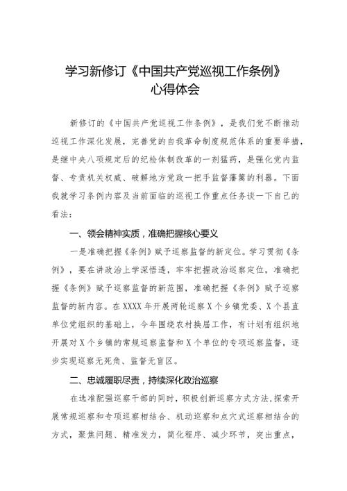 2024版新修订《中国共产党巡视工作条例》学习心得体会(十三篇).docx