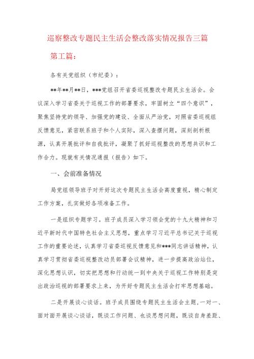巡察整改专题民主生活会整改落实情况报告三篇.docx