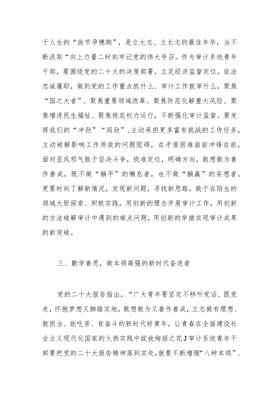 交流发言：以青之我推动审计事业高质量发展.docx_第3页