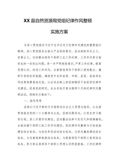 XX县自然资源局党组纪律作风整顿实施方案.docx