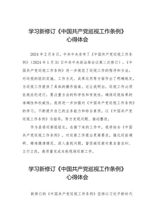 巡察干部学习2024新修订中国共产党巡视工作条例心得体会(十三篇).docx