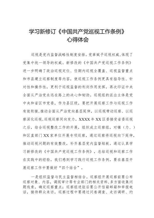 九篇学习新修订中国共产党巡视工作条例(2024版)心得体会.docx