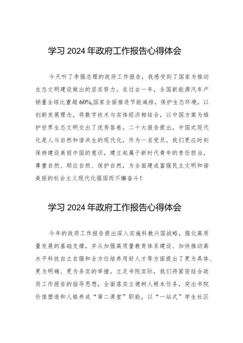 学习2024年两会《政府工作报告》心得感悟二十篇.docx