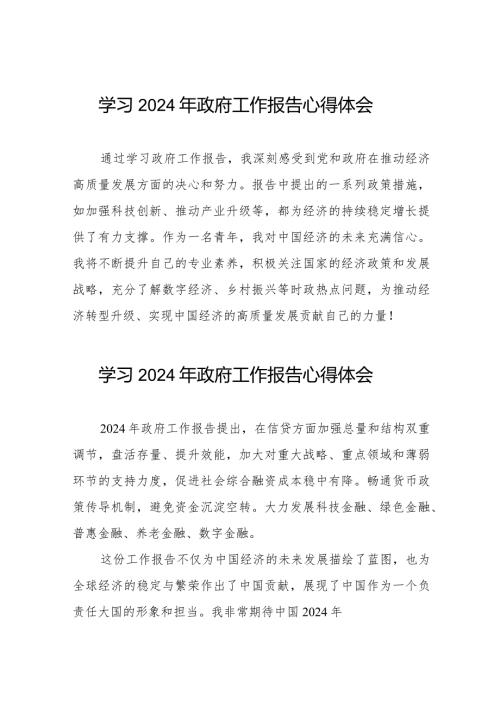 学习《2024年政府工作报告》简短发言(44篇).docx