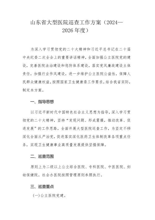 山东省大型医院巡查工作方案（2024—2026）.docx