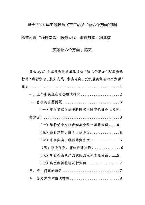 县长2024年主题教育民主生活会“新六个方面”对照检查材料“践行宗旨、服务人民、求真务实、狠抓落实等新六个方面”范文.docx