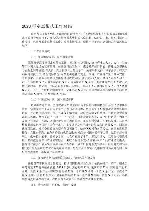 2023年定点帮扶工作总结.docx