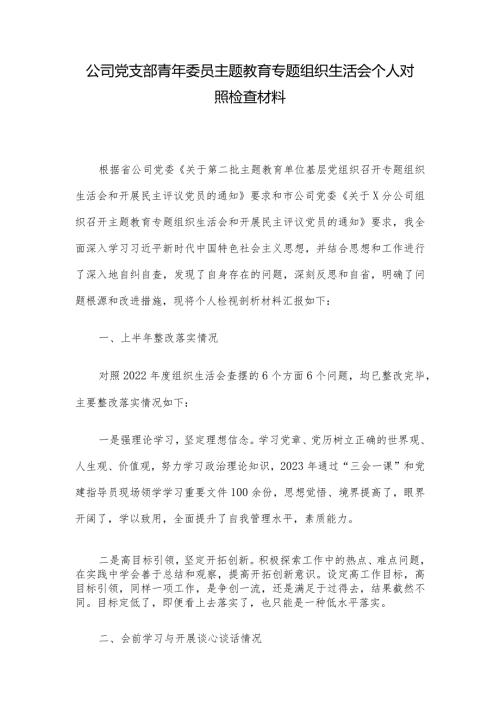 公司党支部青年委员主题教育专题组织生活会个人对照检查材料.docx