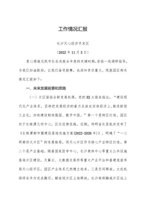 市长调研总体汇报材料.docx