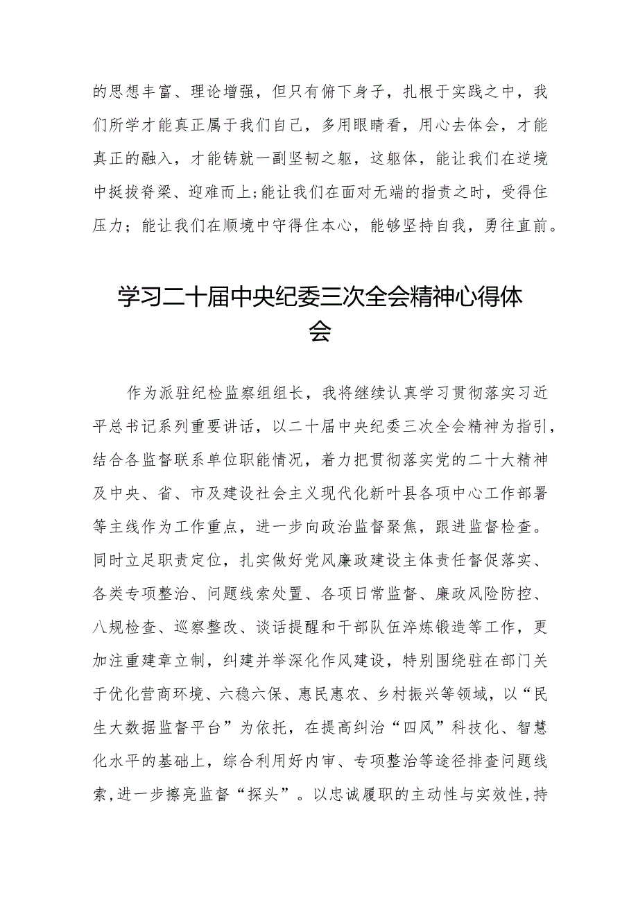 学习贯彻二十中央纪委三次全会精神的心得体会精品范文(25篇).docx_第3页