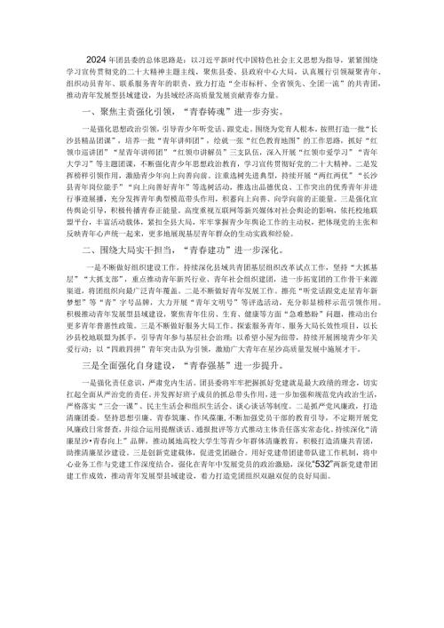 共青团XX县委2024年工作要点.docx