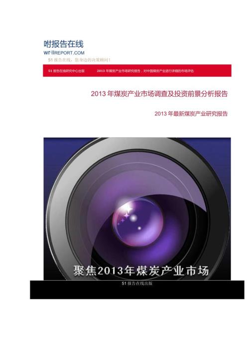 20242025年煤炭行业企业竞争力研究及市场现状分析报告.docx