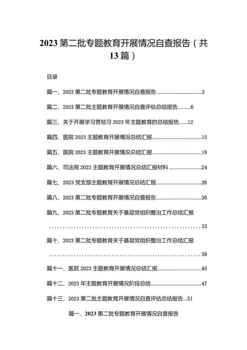 第二批专题教育开展情况自查报告范文精选(13篇).docx