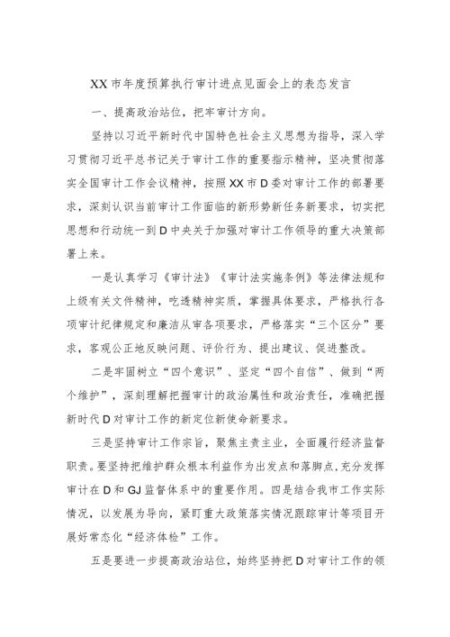 XX市预算执行审计进点见面会上的表态发言.docx