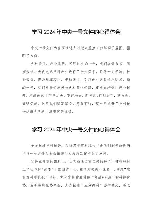 驻村书记学习2024年中央一号文件的心得体会22篇.docx