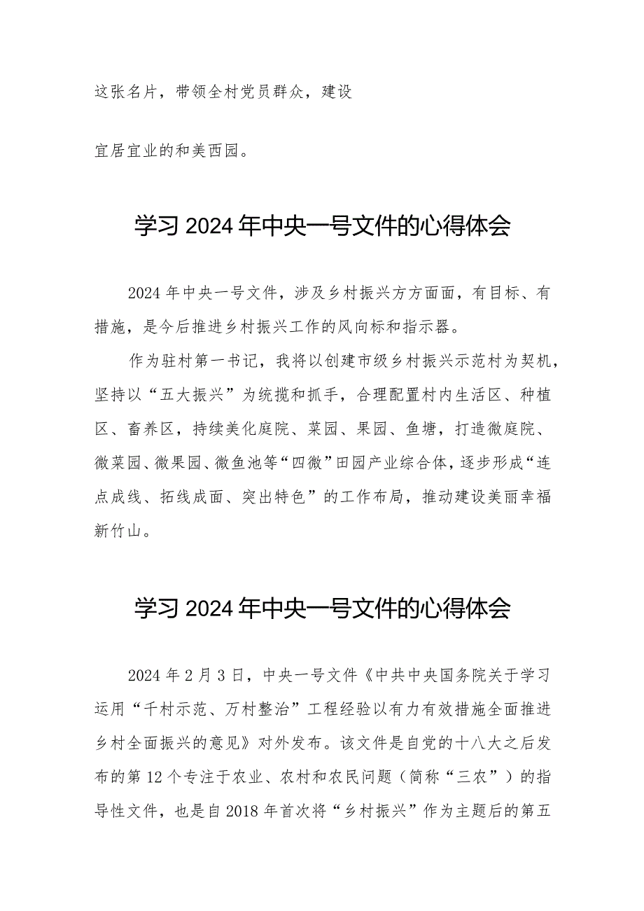 驻村书记学习2024年中央一号文件的心得体会22篇.docx_第3页