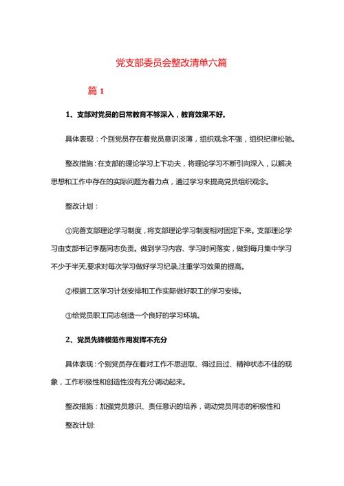 党支部委员会整改清单六篇.docx