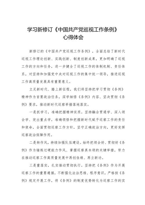 学习新修订《中国共产党巡视工作条例2024版》心得体会(十三篇).docx