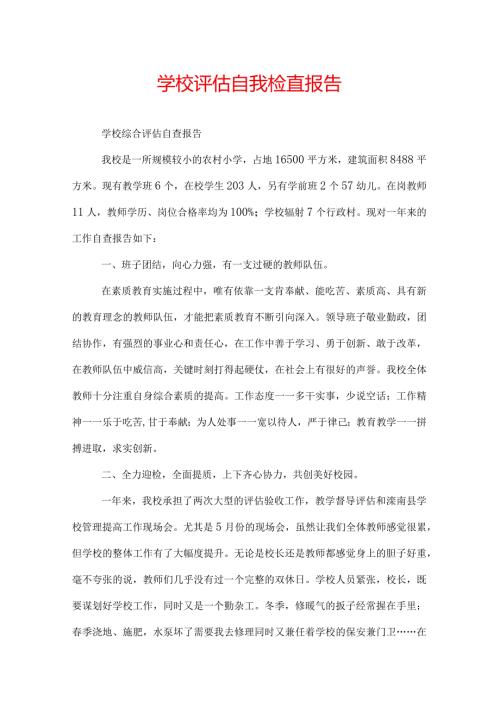 学校评估自我检查报告.docx