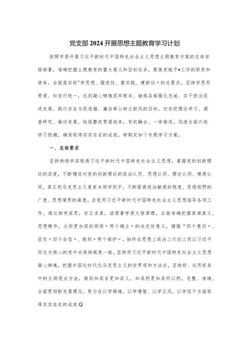 党支部2024开展思想主题教育学习计划.docx