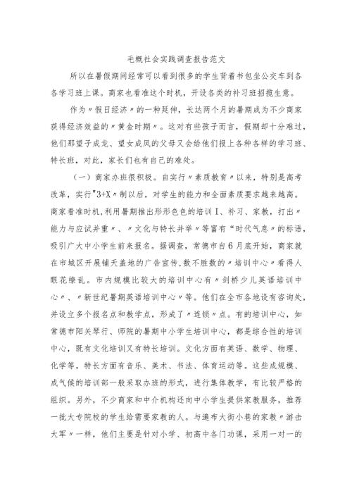 社会实践调查报告4.docx