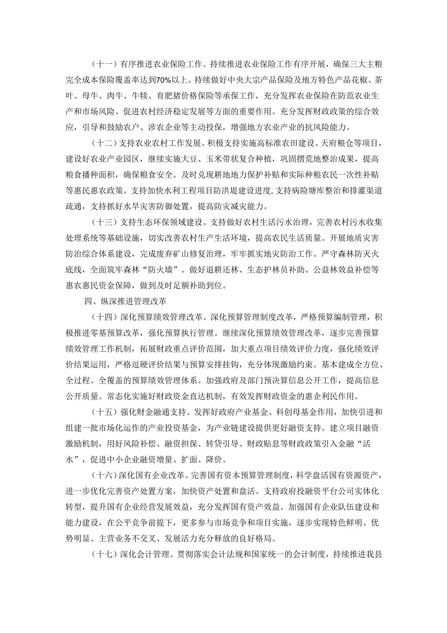 2024年县财政工作要点(1).docx_第3页