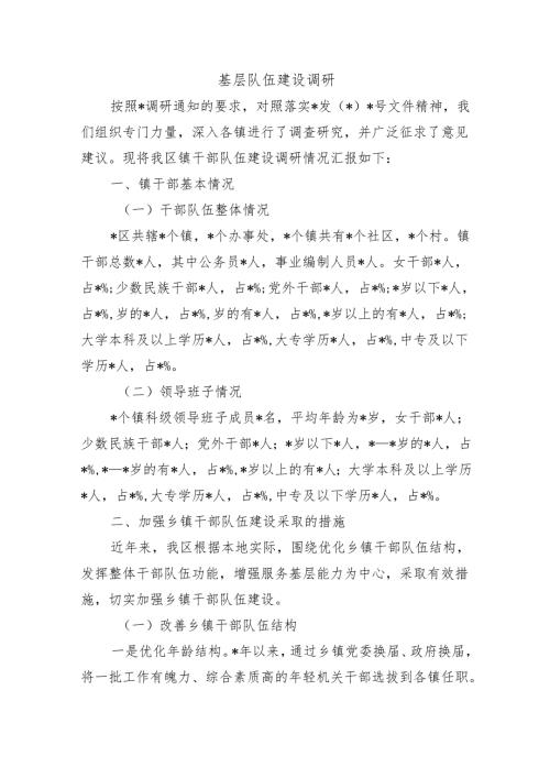基层队伍建设调研.docx