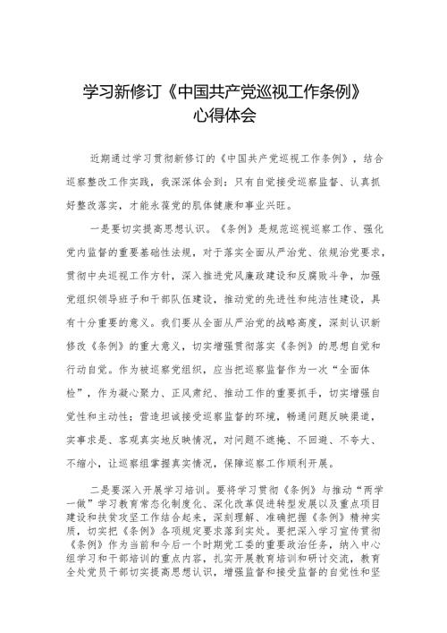 学习新修订中国共产党巡视工作条例2024版心得体会8篇.docx