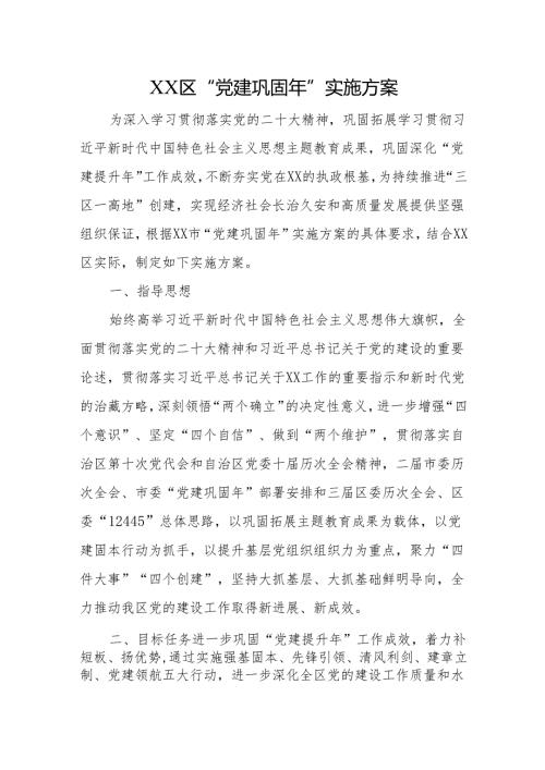 “党建巩固年”实施方案.docx