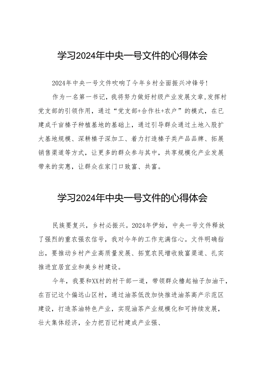 驻村干部关于2024年中央一号文件的学习体会二十四篇.docx_第1页