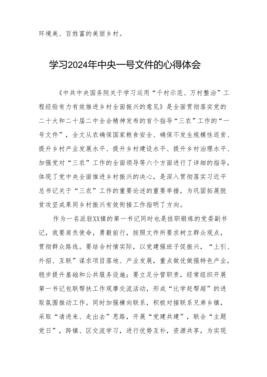 驻村干部关于2024年中央一号文件的学习体会二十四篇.docx_第2页
