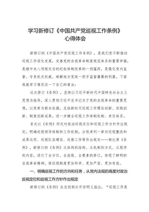 领导干部学习2024版新修订《中国共产党巡视工作条例》心得体会十九篇.docx