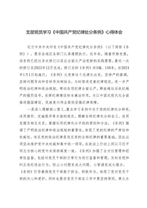 【2024党纪学习教育】支部党员学习《中国共产党纪律处分条例》心得体会研讨发言3篇.docx