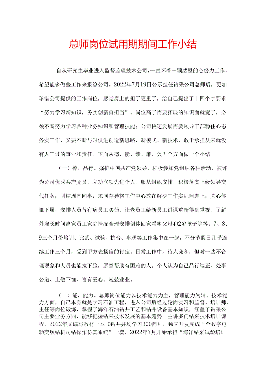 总师岗位试用期期间工作小结.docx_第1页
