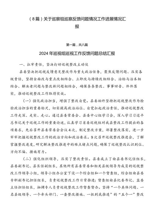 （8篇）关于巡察组巡察反馈问题情况工作进展情况汇报.docx