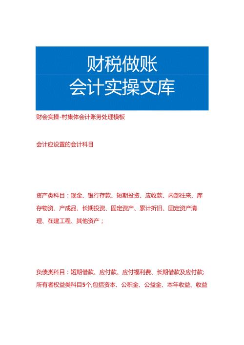 财会实操村集体会计账务处理模板.docx