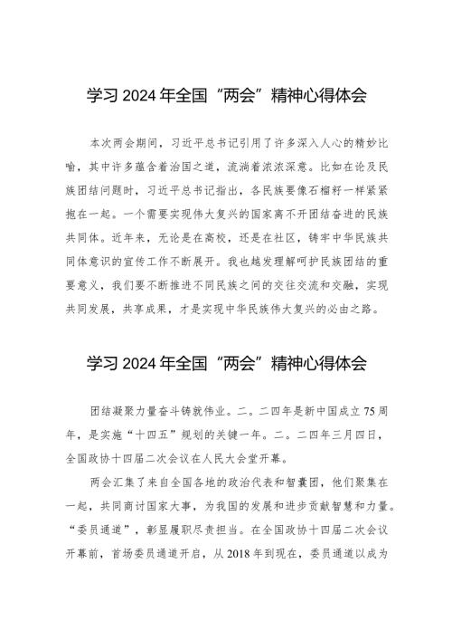 (36篇)2024年“两会”精神学习心得体会.docx