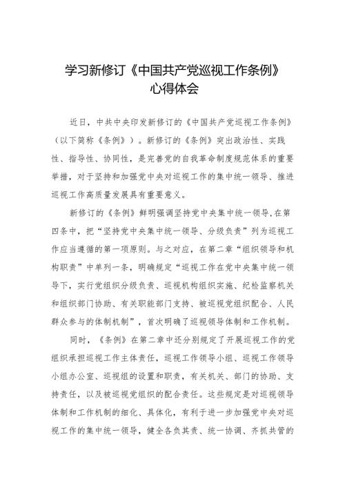 纪检巡察干部学习2024版新修订中国共产党巡视工作条例的心得体会四篇.docx
