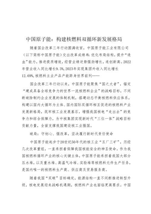 中国原子能：构建核燃料双循环新发展格局.docx