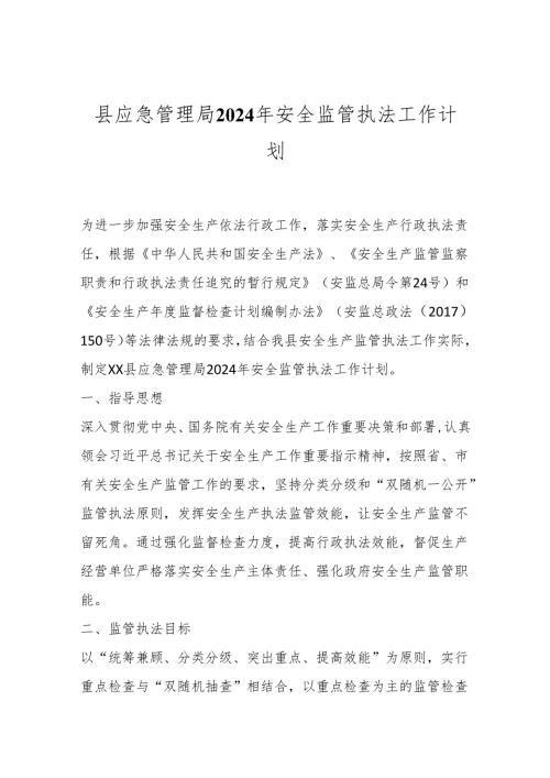 县应急管理局2024年安全监管执法工作计划.docx