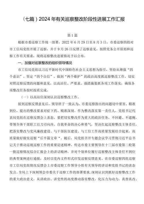 （七篇）2024年有关巡察整改阶段性进展工作汇报.docx