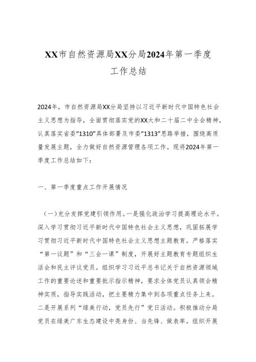 XX市自然资源局XX分局2024年第一季度工作总结.docx