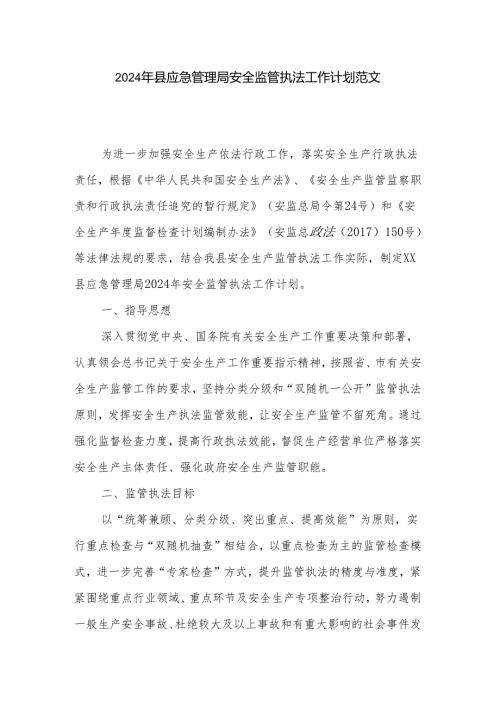2024年县应急管理局安全监管执法工作计划范文.docx