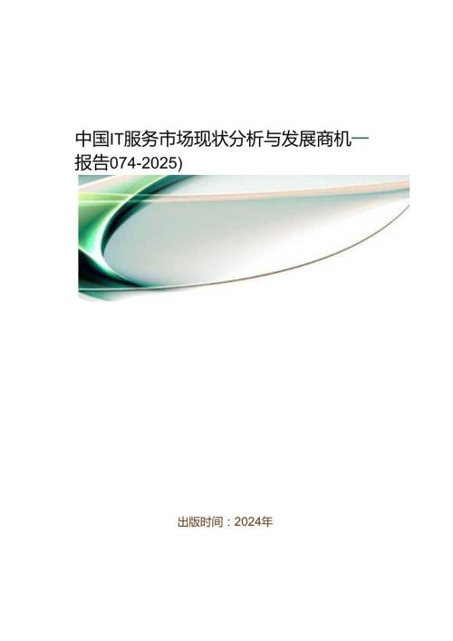中国IT服务市场现状分析与发展商机研究报告(20242025).docx